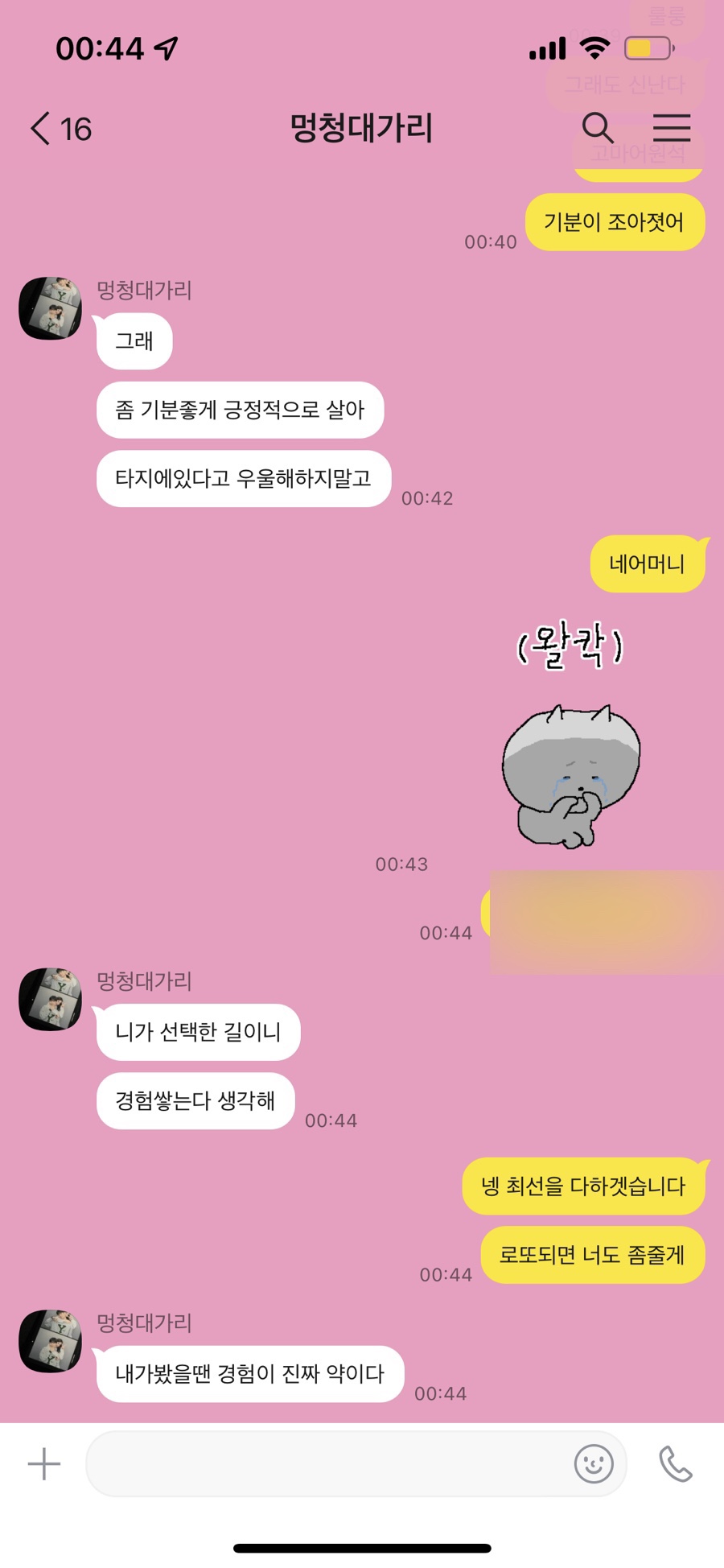 타코파 이미지