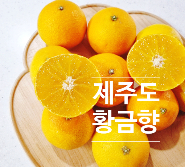 맛있는형제들 이미지