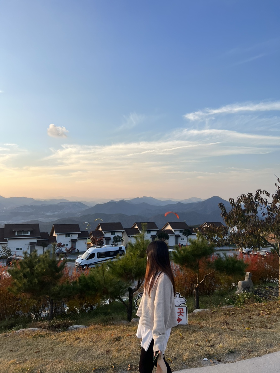 더놀자 이미지