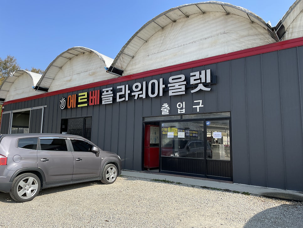 쎄드데플란타 이미지