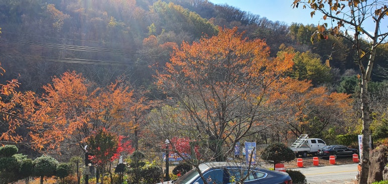 마음챙김펜션 이미지