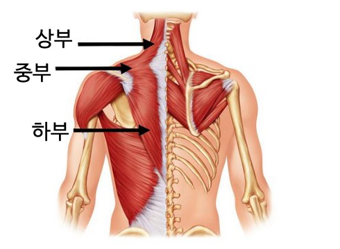 원픽짐 이미지