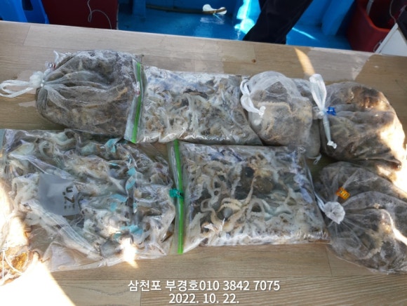 부경호 이미지