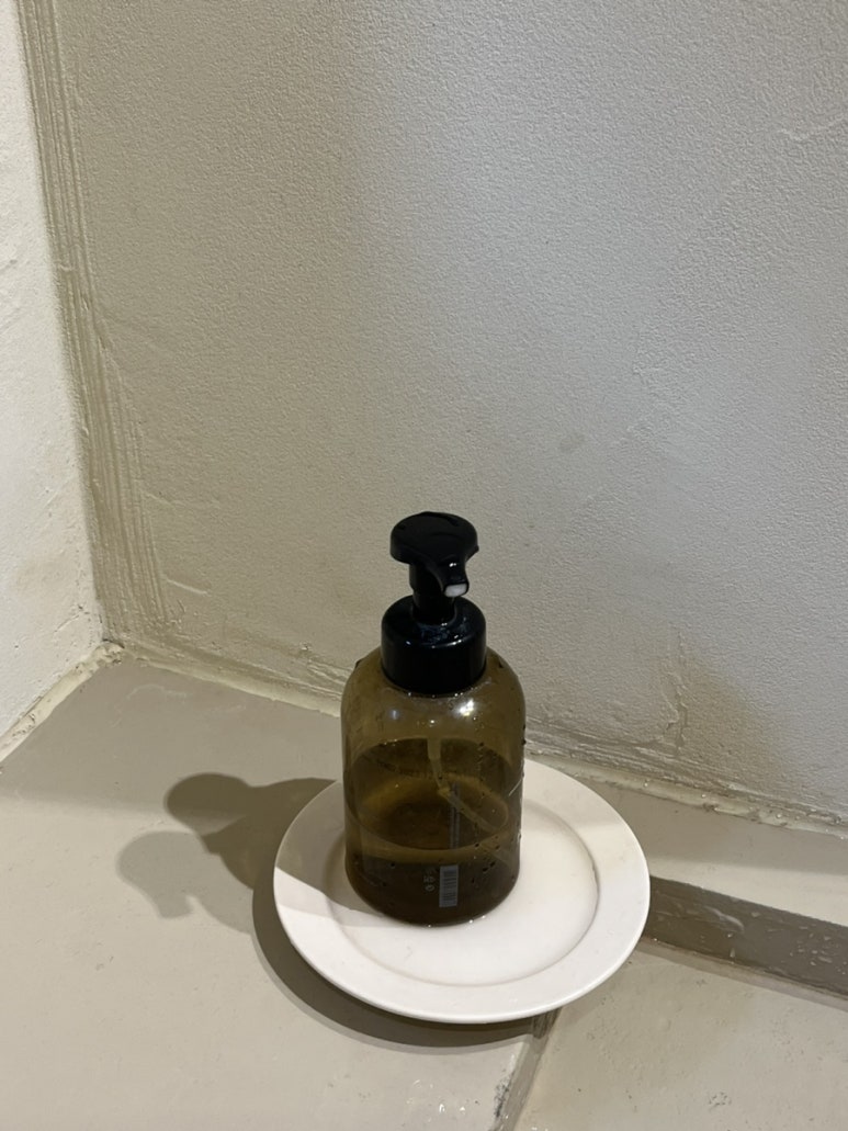 오르(orr) 이미지