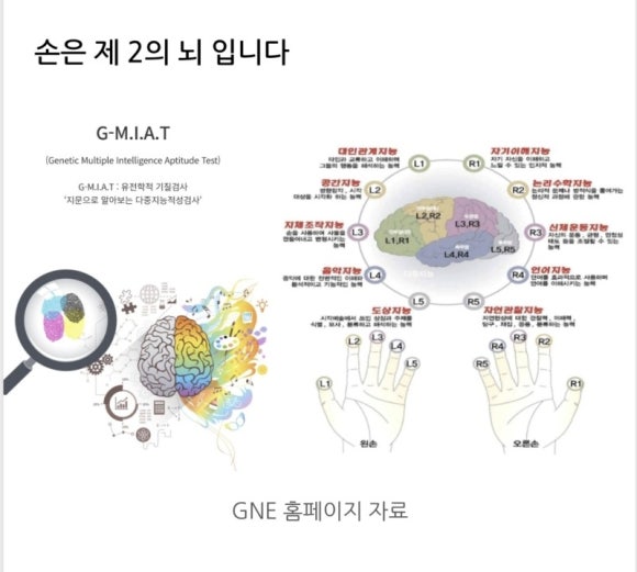 한국다중지능적성평가원 이미지