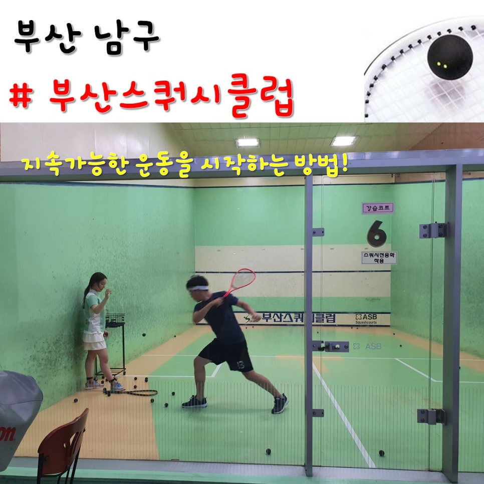 부산스쿼시클럽 이미지