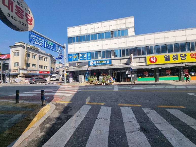 횡성더덕동화농장 이미지