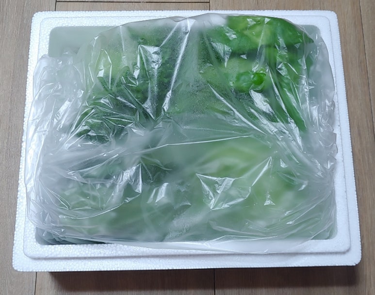 지씨엘(GCL) 이미지