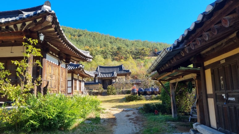 농암민박 이미지