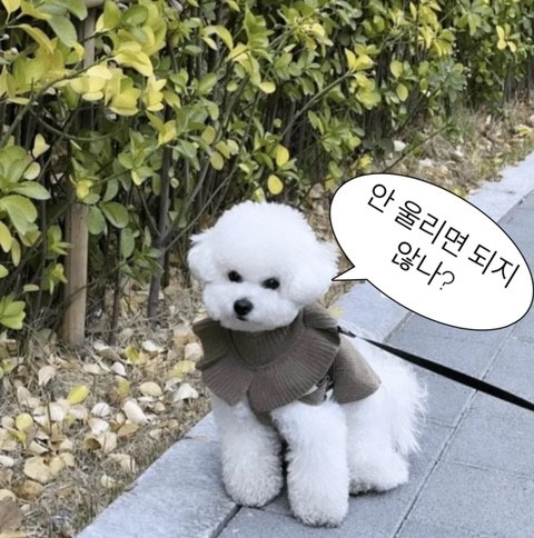산펠리체 이미지