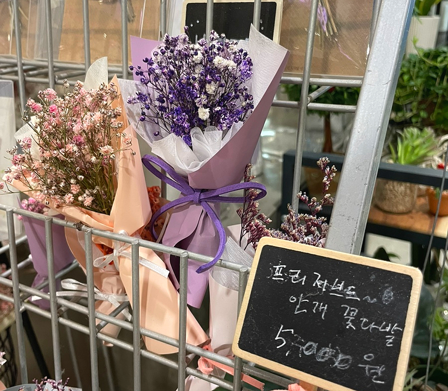 일리아플라워 이미지