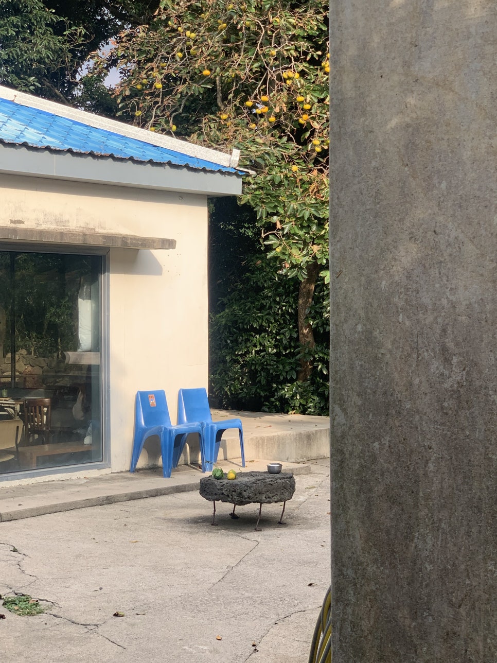 주니카페 이미지