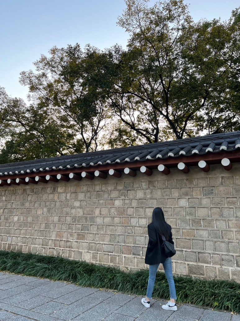 송고집왕족발 이미지