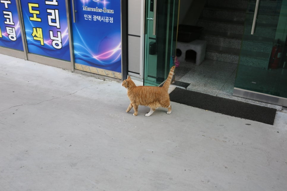 태양자동차정비 이미지