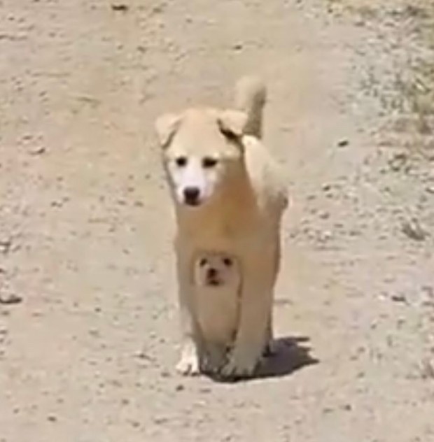 헤이커피 이미지