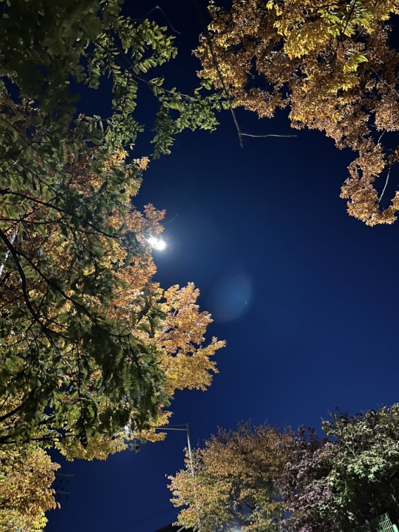 태일수산 이미지