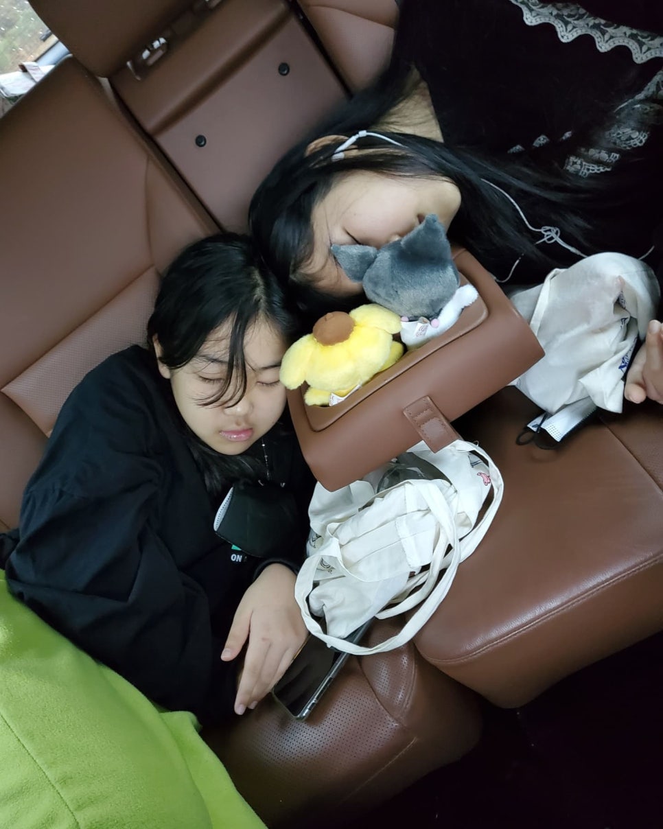 작당모의 이미지