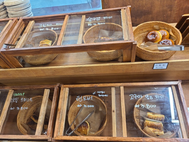 살구텍 이미지