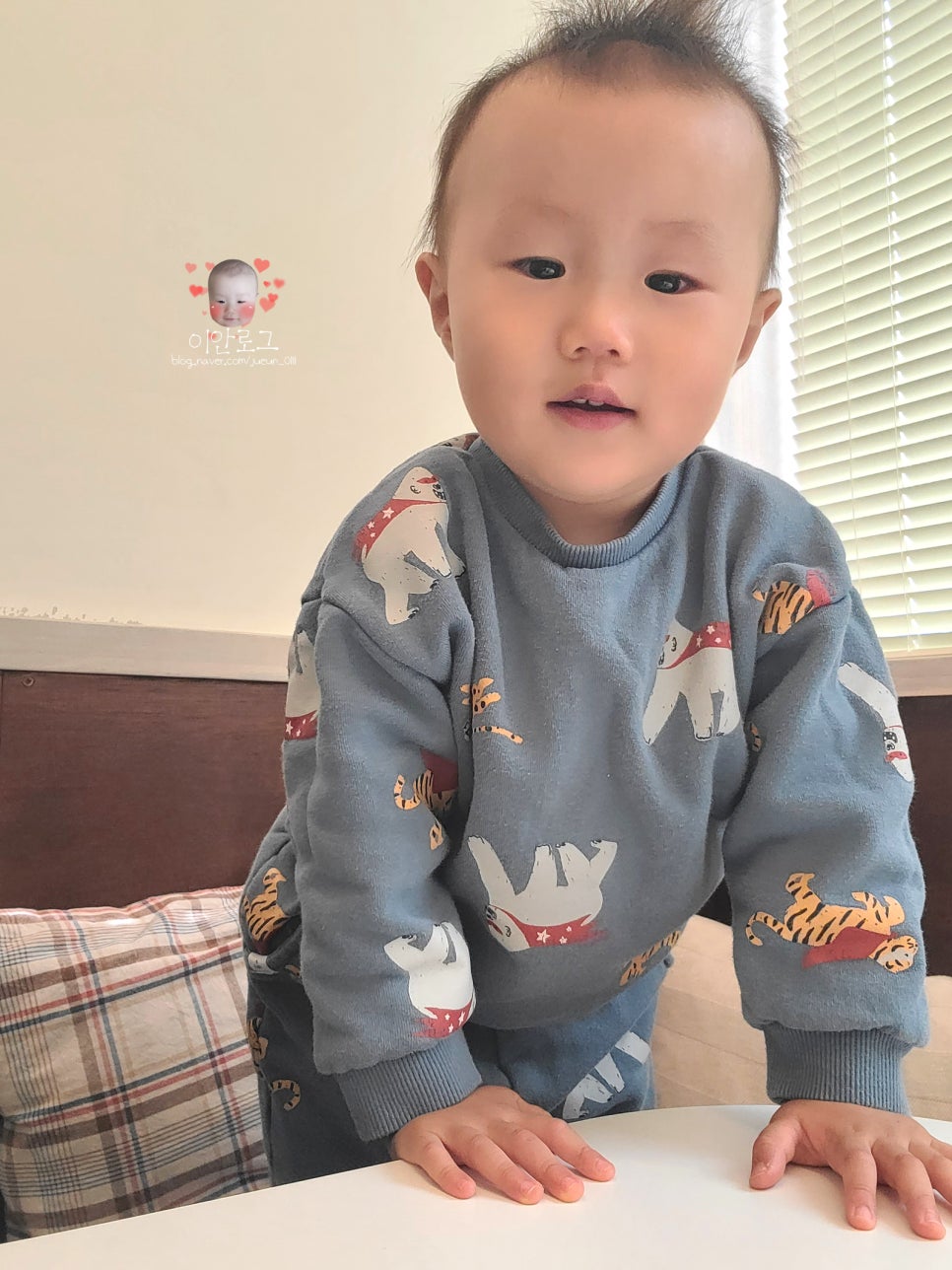 무초프루토 이미지