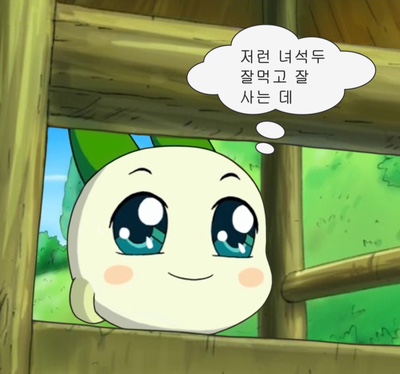 착한여우 이미지