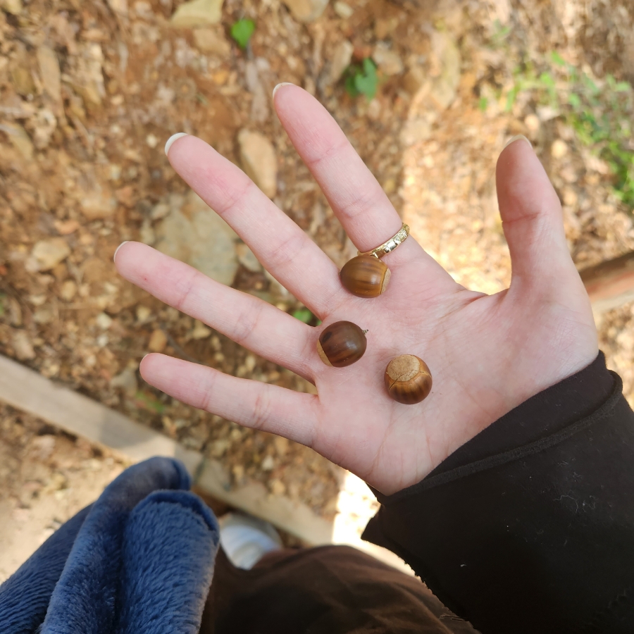 은솔카페&샵 이미지