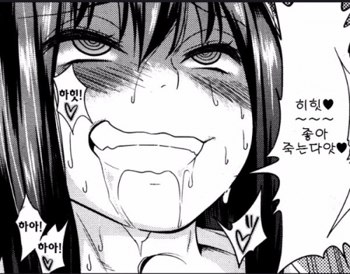 호시카와 이미지
