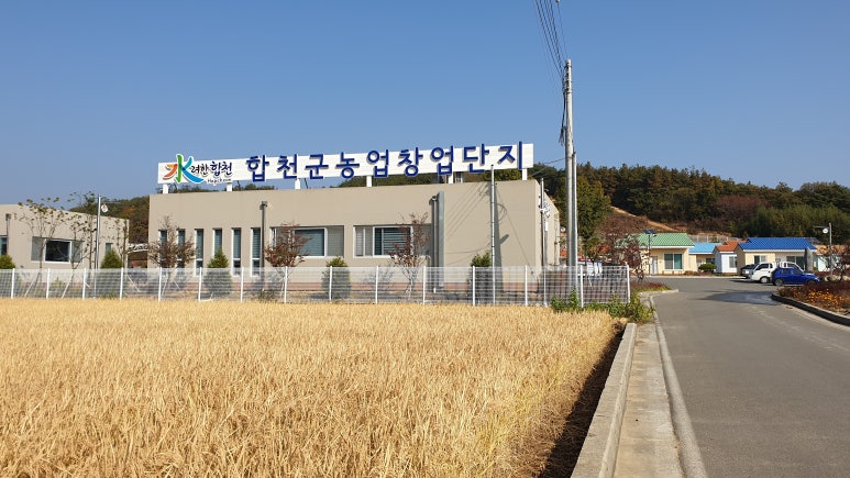 사회적협동조합피움 이미지