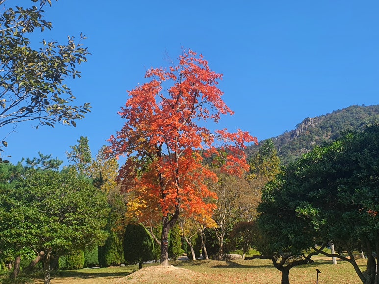 다도반점 이미지