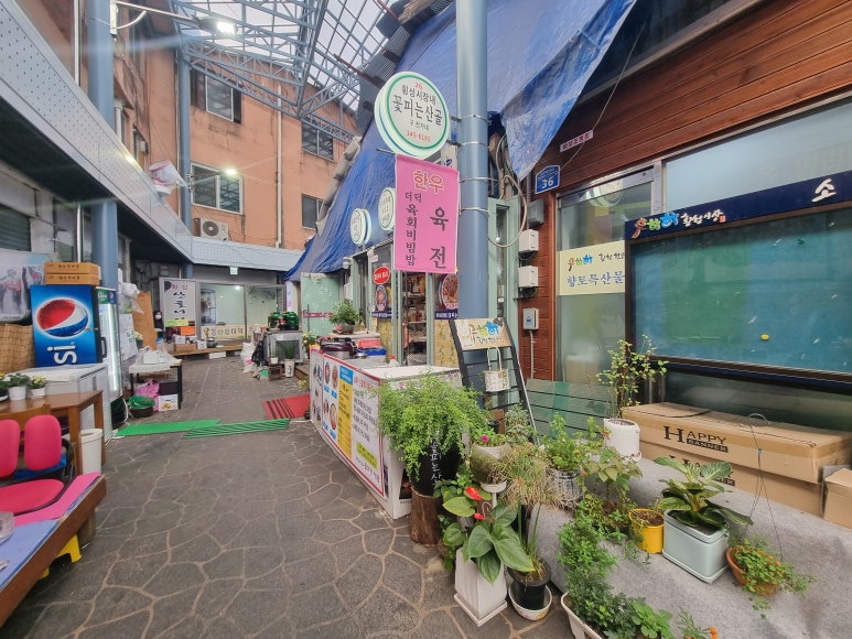 횡성더덕동화농장 이미지