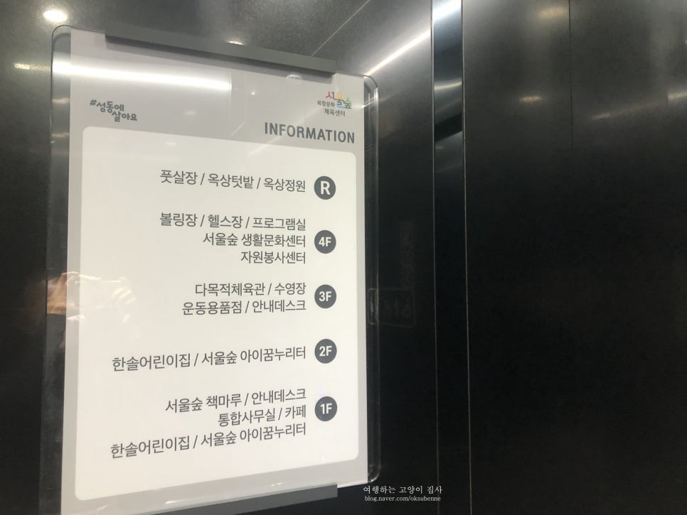 서울숲 수영장 자유수영 후기: 가격, 시간, 이용 꿀팁 — 사진 6