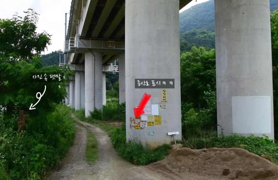 대원정육점 이미지