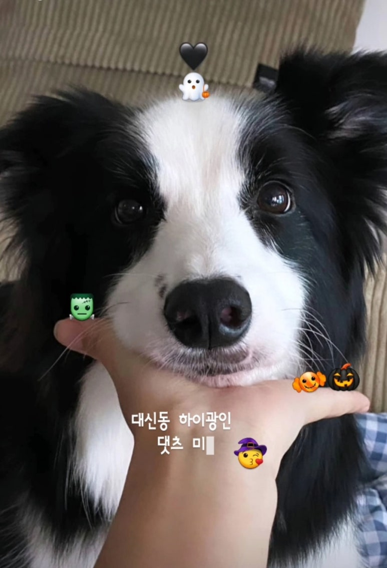 (주)일들사람들 이미지