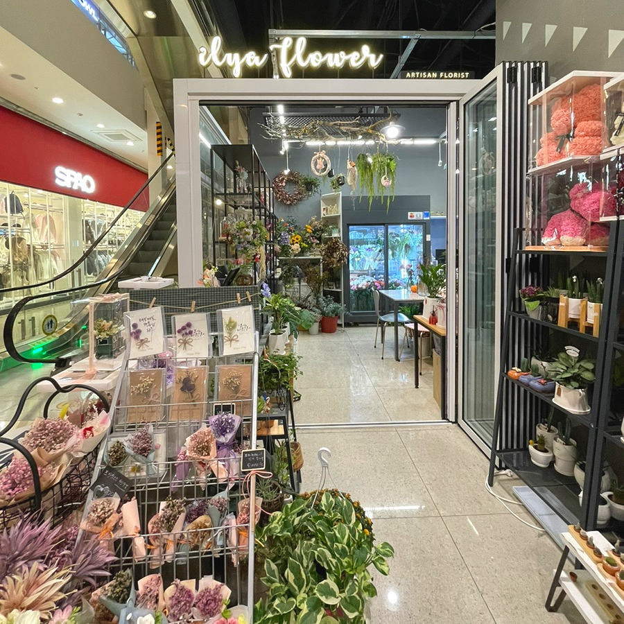 일리아플라워 이미지