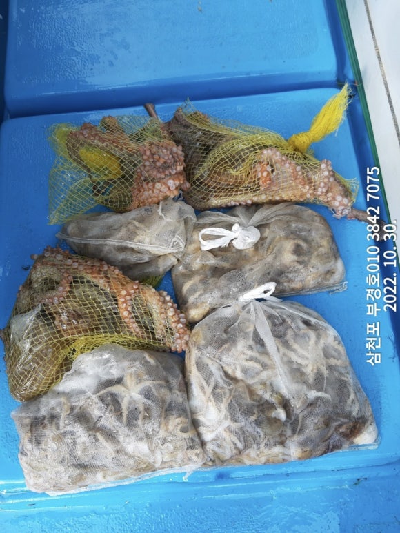 부경호 이미지
