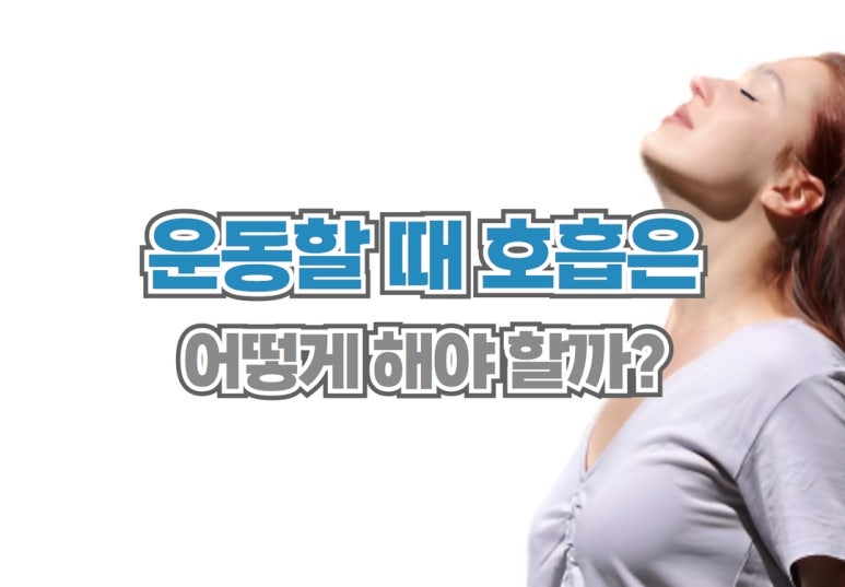 노블레스헬스 이미지
