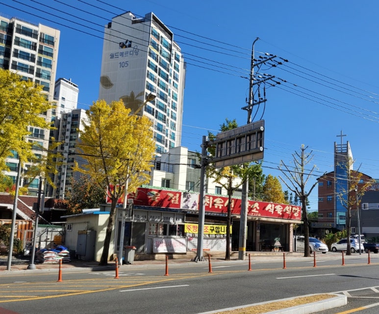최유선암소식육식당 이미지