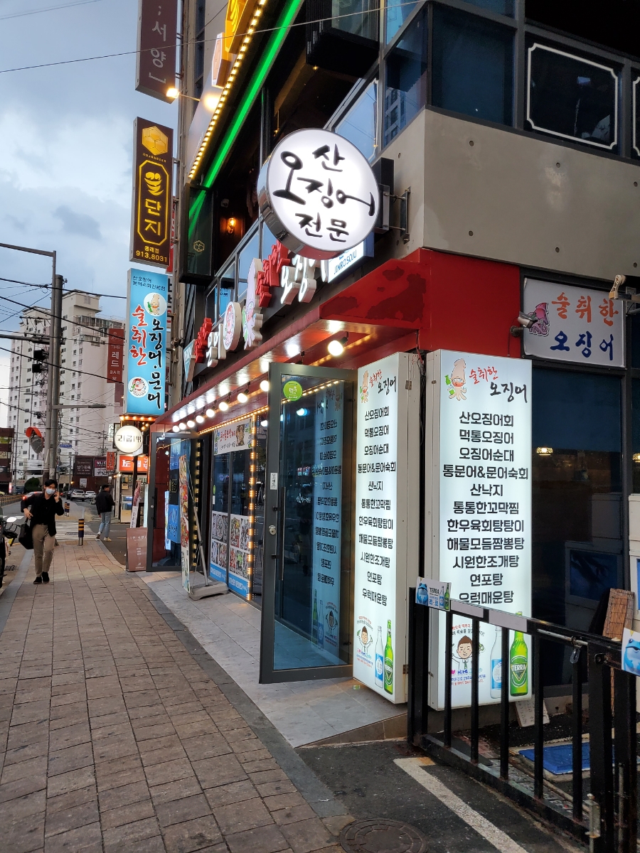 술취한문어 이미지