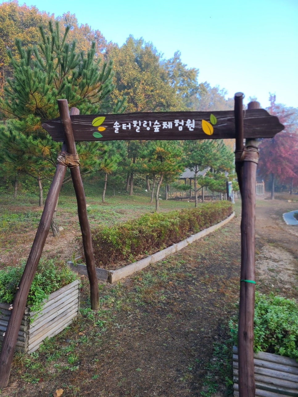 솔터힐링 숲체험원 이미지