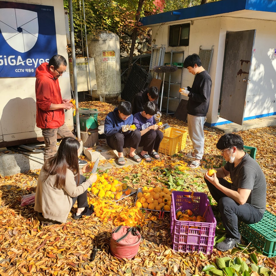 광덕산관광농원호두나무캠핑장 이미지