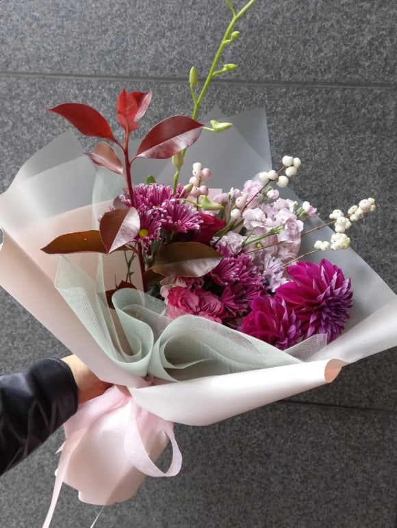 종로칼라 이미지