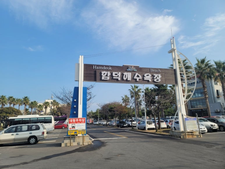 세븐일레븐제주더호텔점 이미지