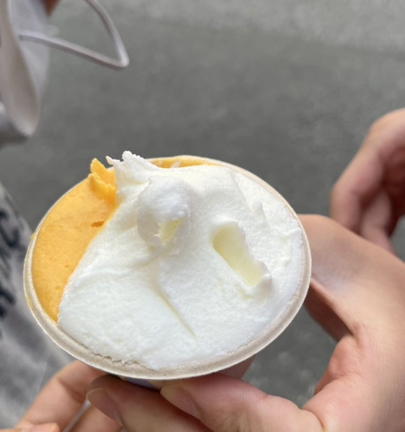 지베젤라 이미지
