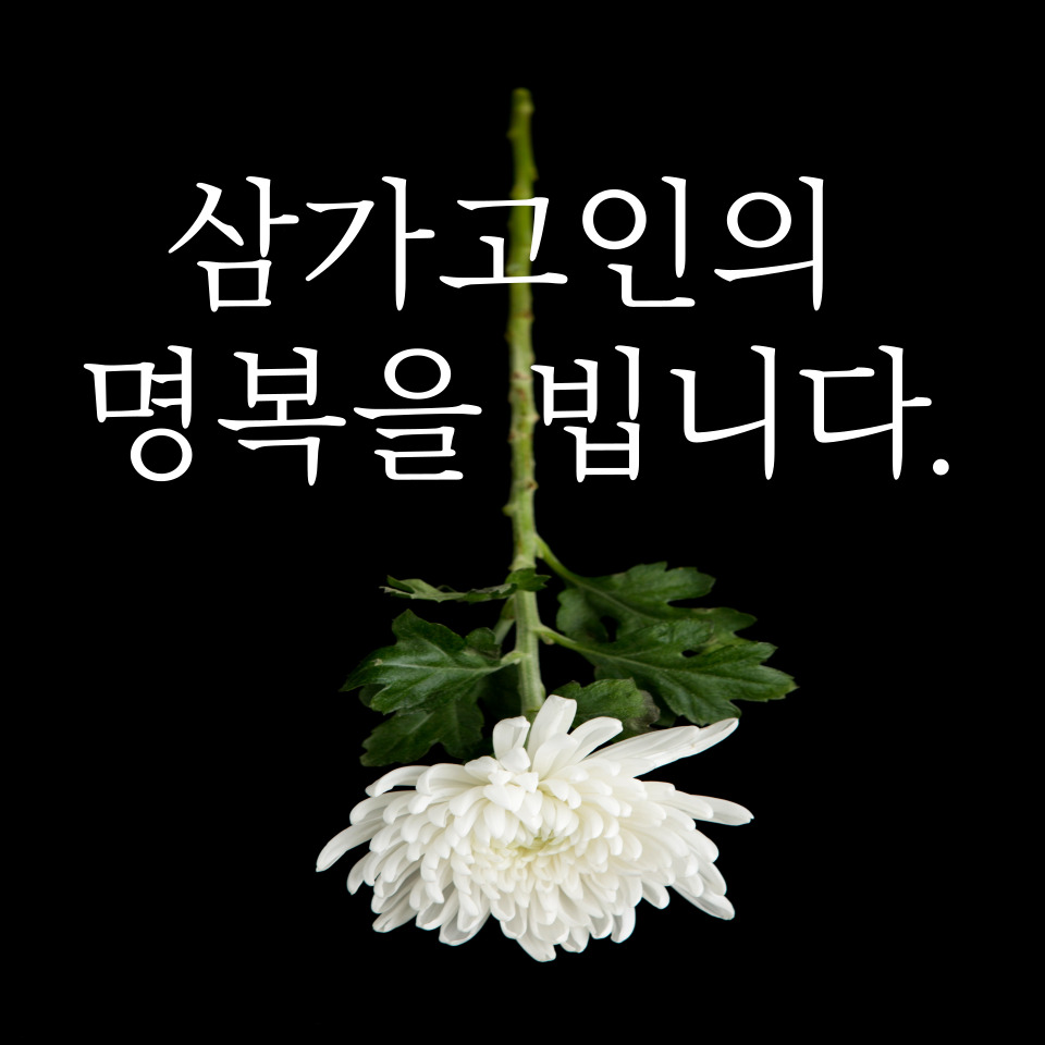 카페일상 이미지
