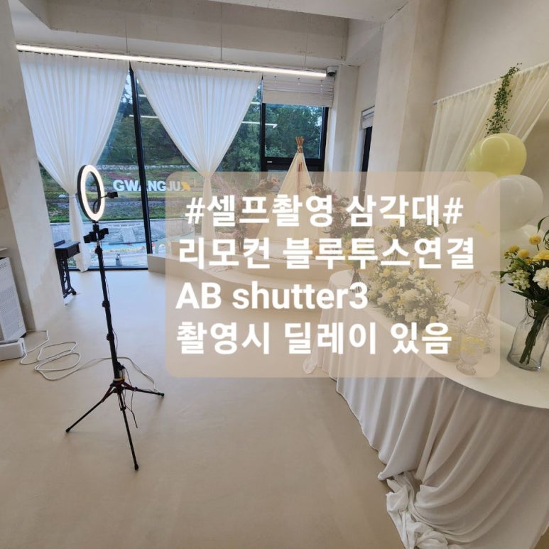 파티501 이미지