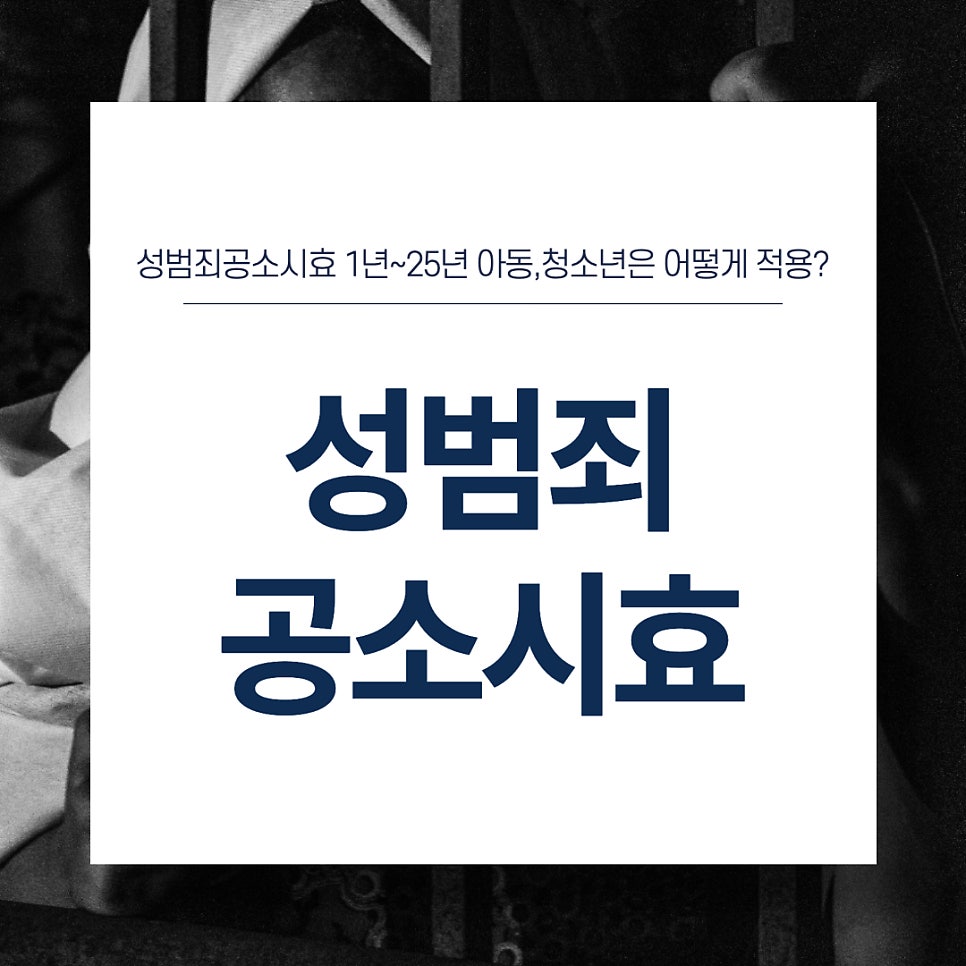 법무법인모악부안분사무소 이미지