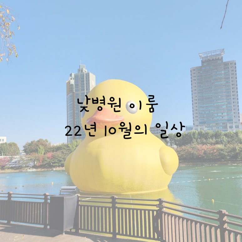 성남사랑의병원 이미지