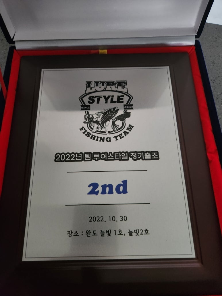 완도스타일 이미지