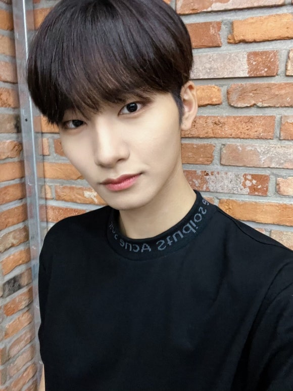 로아나 이미지