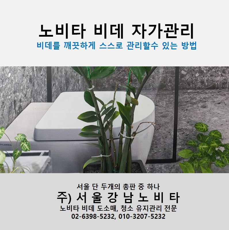 서울강남노비타비데 이미지