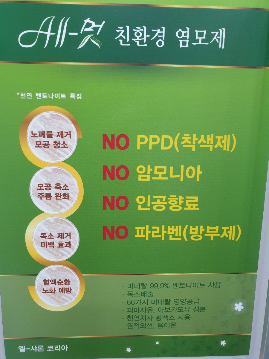엘샤론 이미지